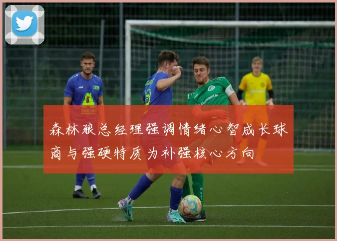 森林狼总经理强调情绪心智成长球商与强硬特质为补强核心方向